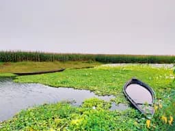 Jiribam